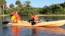 One Tandem Kayak Rental for 2 hours with Manatee & Dolphin sightings!