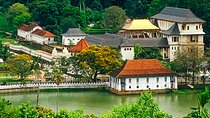 Kandy City Tour from Hikkaduwa