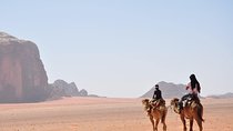 Arabian Horse/Camel Riding ;Private special guided tour