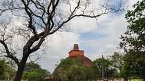 Anuradhapura Buddhist Icons Tour from Habarana