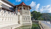 Kandy City Tour from Sigiriya
