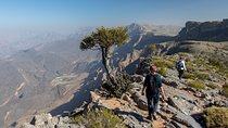 Jebel Akhdar Full Day Tour by 4x4