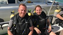 Aruba 2-Tank Dive Excursion for Certified Divers
