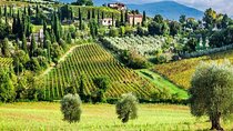 Truffle and Brunello Sommelier Vip Experience in Tuscany Lands from Florence