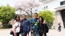 Osaka Castle and Sumiyoshi Taisha Shrine Private Half-Day Tour