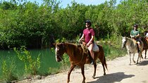 STROLL the Jungle Trails on a HORSE. Includes Transportation and Equipment.