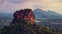 Sigiriya Rock and Wild Elephant Safari from Sigiriya