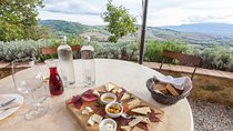 Montepulciano and Pienza Tuscany Wine&Cheese Fullday from Florence