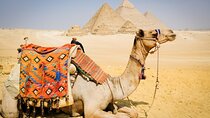 Cairo: 3 Private Full-Day Tours to Cairo Top Attractions+One Airport Transfer