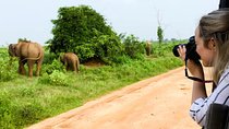 Mirissa to Ella Shuttle & Udawalawe Safari Drive with Breakfast