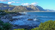 6 Day Garden Route Small Group Tour Fr CapeTown - Departs Any Day
