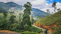 Knuckles and Riverston Trekking Experience From Kandy