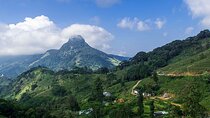 02 days Knuckles and Riverston Trekking from Kandy