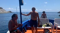 Boat tour in Ponza and Palmarola with a fisherman with lunch 