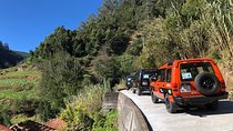 Madeira Safari - East of the island