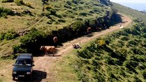 Jeep Tour Câmara de Lobos - Half day
