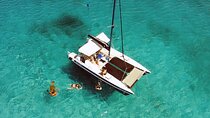 Barbados Catamaran Snorkel Cruise with Open Bar
