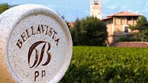 Wine Tour in Franciacorta from Milan