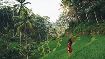 Bali Highlights : Nature, Waterfall, Rice Terraces and Volcano