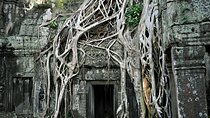Guided Private A/C Vehicle Tour to Angkor Wat and Small Circle with Two Extras