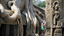 Guided Private Tuk Tuk Tour to Angkor Wat and Small Circle with Two Extras
