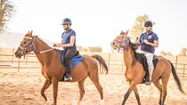Private 4x4 Mleiha Desert Safari Horse Riding with Museum Visit