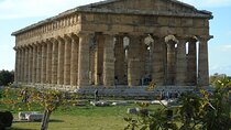 Pompeii and Paestum Fullday from Naples or Sorrento or Positano or Amalfi