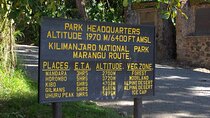 1-Day Hike - Mount Kilimanjaro