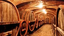 Chianti Lovers Tour- 2 Wineries and SuperTuscan Small Group from Pisa