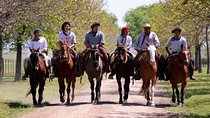 Private Tour: Gaucho Ranch in San Antonio de Areco from Buenos Aires