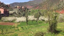 Marrakech Day Trip - Atlas Mountains & 3 Valleys 