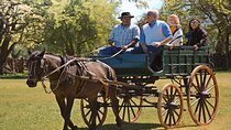 Private Tour: Santa Susana Gaucho Ranch from Buenos Aires