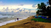 Southern Coast Highlights from Panadura