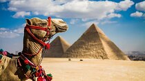 8 Days,Cairo,Alexandria,Aswan,Luxor,Cruise, Abu Simbel,From Cairo By Plane