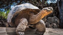4 days Galapagos Essential Budget Tour