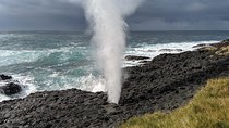 Erupting Blowholes and Ancient Rainforests SOUTH COAST OF SYDNEY PRIVATE TOUR