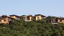 1-Night Ajloun Forest Reserve from Amman