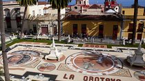 Private 6-hour Tour of La Orotava + Puerto de La Cruz with Hotel pick-up