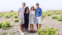 Santorini Wines Private Tour 