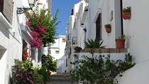 Guided Walking Tour of the Old Town of Frigiliana