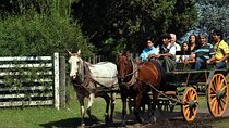 Private Tour: Don Silvano Gaucho Ranch from Buenos Aires