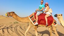Amazing Desert Safari With 7 Live Entertainment Shows & BBQ Dinner in Dubai 
