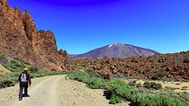 Private Full Day Tour to the Top of the Teide: go hiking and return in cable car