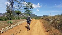 Krabi Countryside Eco Cycling Tour - Multiple Trails