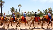 Marrakech Experience: PalmGrove Camel Ride Excursion