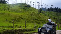 Full Day Tour of Cocora Valley, Salento, and Filandia Coffee Town (from Salento)