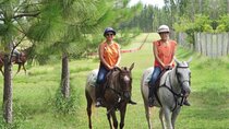 Horseback Riding Adventure with Asado in Buenos Aires!