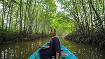 Discover Can Gio Mangrove Forest by Scooter full day tour from Ho Chi Minh city