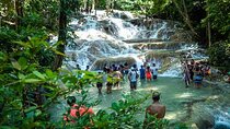 Dunn's River Falls plus Luminous Lagoon (Glistening Water)Private Tour 