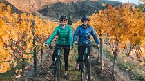 Bike The Wineries (Full-Day) - Bike & Wine Tour